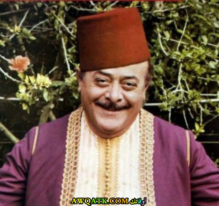 أجمل صورة لنصري شمس الدين