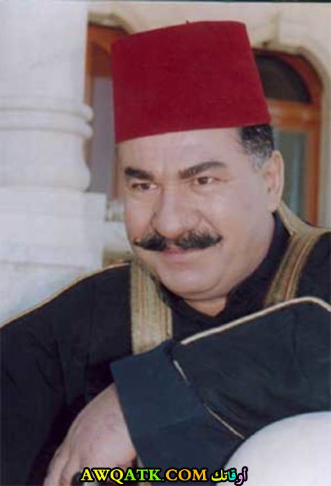 أحمد مللي
