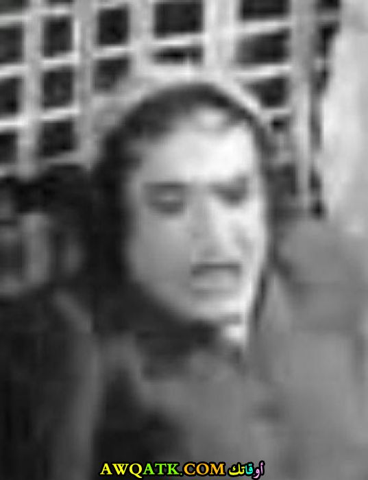 أنور البابا