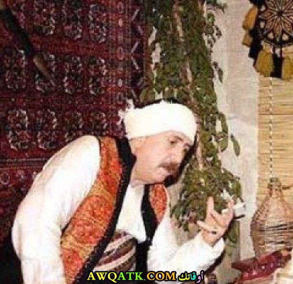 بشار إسماعيل