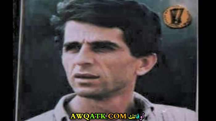 صورة جميلة لجان كارات