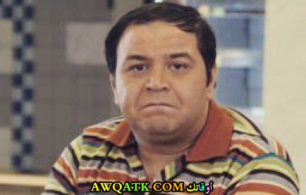 رياض الصالحاني