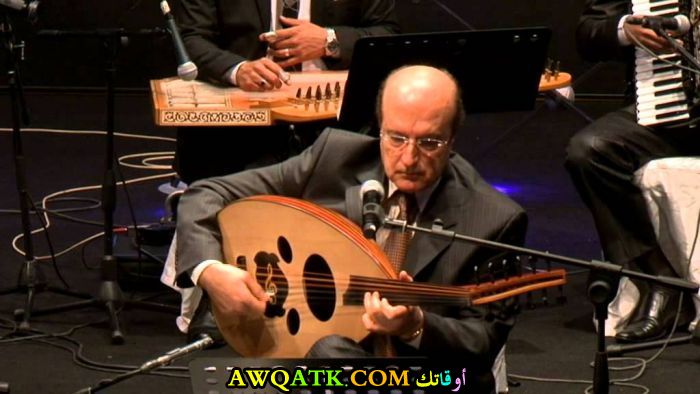 صفوان بهلوان