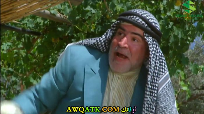 الممثل فوزي بشارة