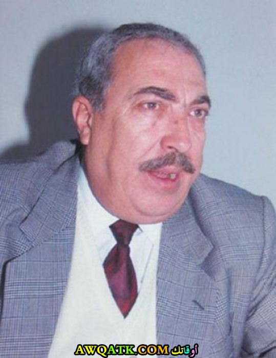 هاني الروماني