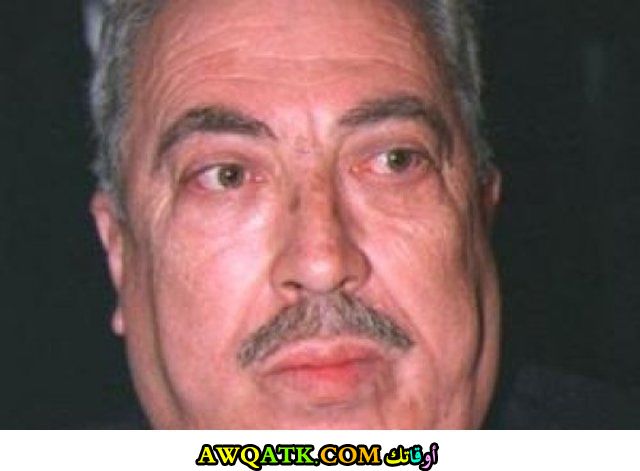 الممثل هاني الروماني