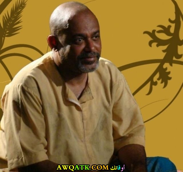 أحمد الانصاري