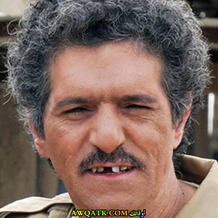 صورة الفنان عبد الناصر درويش