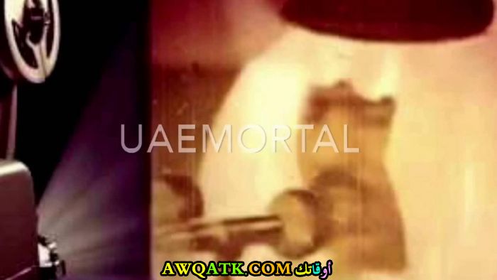 الفنان علي بن روغه