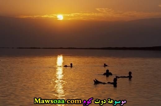 السباحة في الغروب