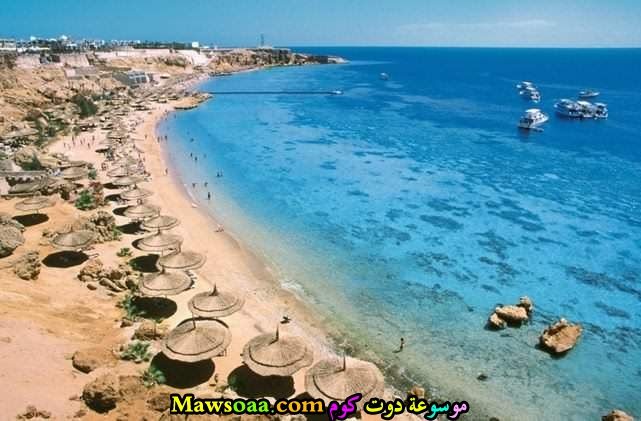 شمسيات على الشاطئ