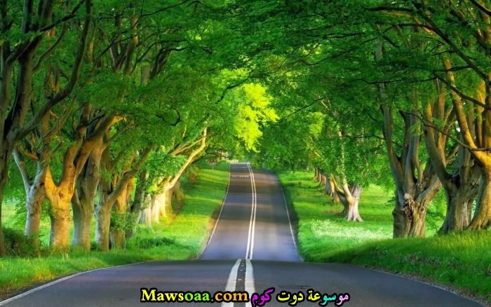 طريق اسفلتي