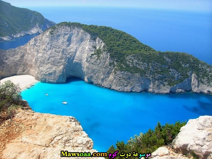 نمو النباتات على الجبال