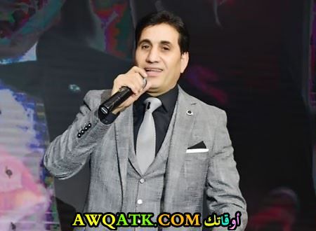 أحمد شيبة