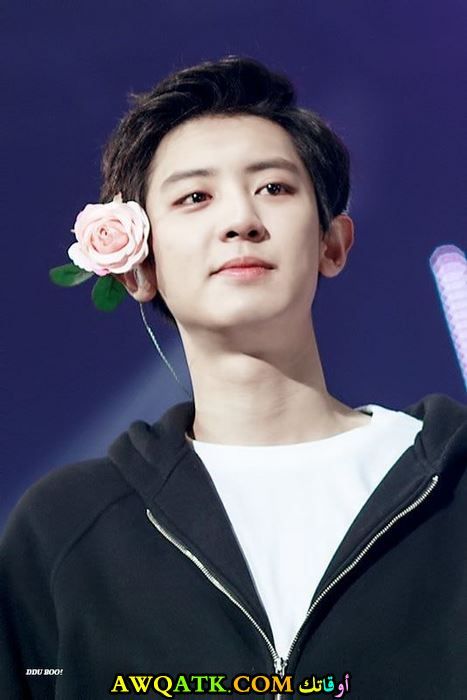 تشانيول كيوت