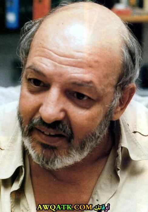 محمد خان المخرج