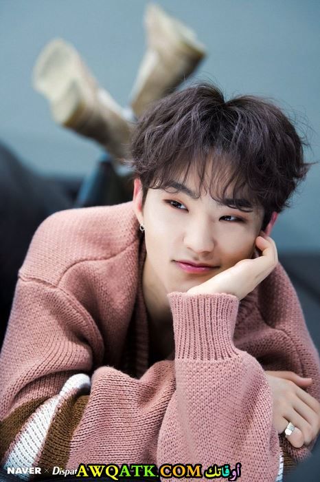 هوشي سفنتين