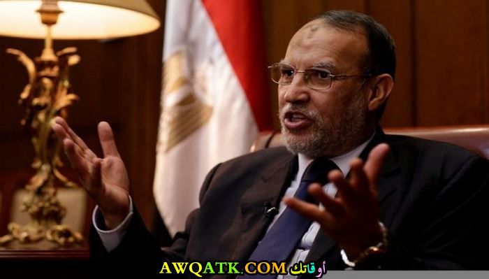 القيادي الإخواني عصام العريان