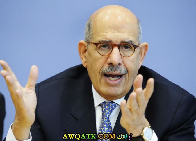 المرشح الرئاسي السابق محمد البرادعي