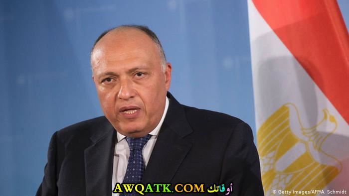سامح شكري وزير الخارجية