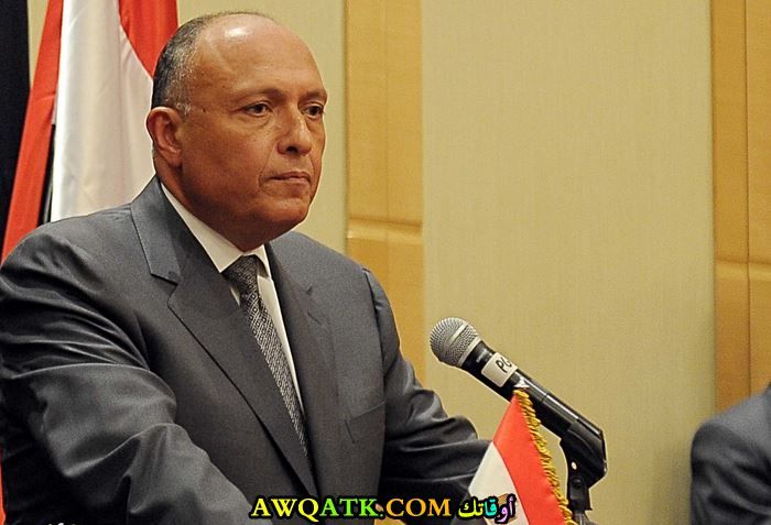 سامح شكري