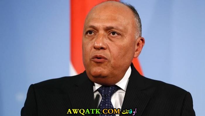 وزير الخارجية سامح شكري