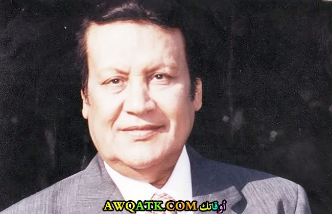 محمد رشدي المطرب المصري