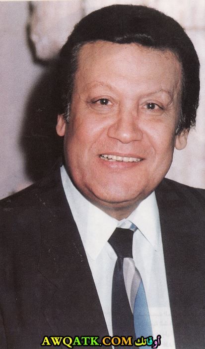محمد رشدي