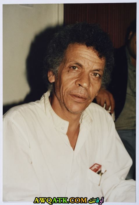 أحمد فؤاد نجم