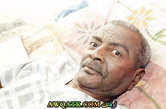 الشاعر محمد بن سعد الجنوبي