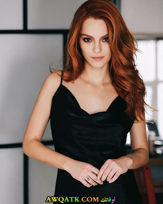 سيرا كوتلوبي