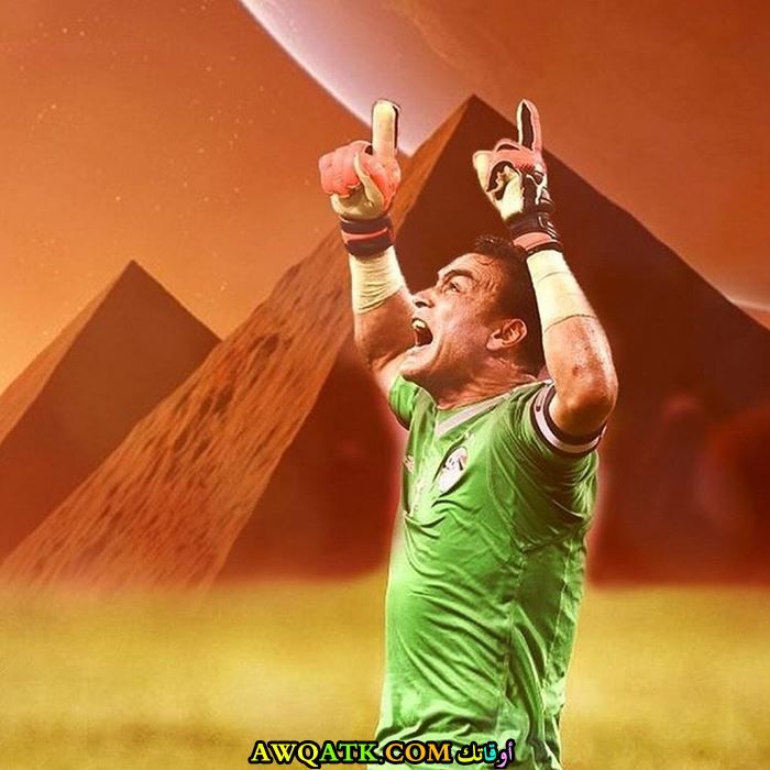 عصام الحضري حارس المرمى