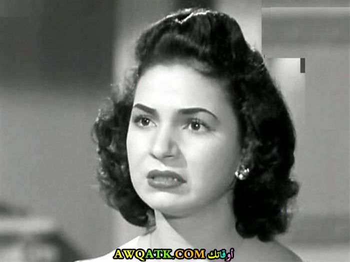 عفاف شاكر
