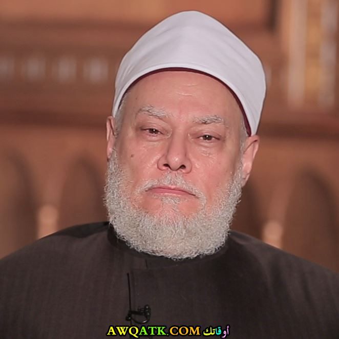 علي جمعة مفتي الديار المصرية السابق