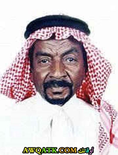 محمد بن سعد الجنوبي