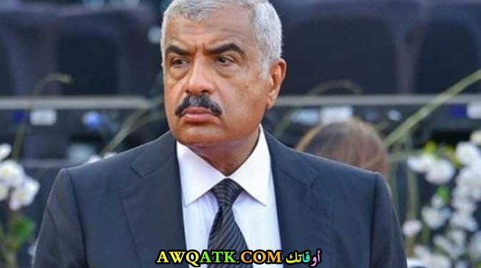 هشام طلعت مصطفى