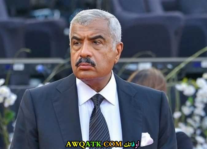 هشام طلعت مصطفى رجل الأعمال